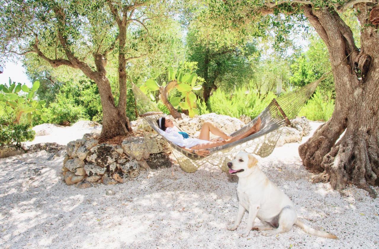 Puntebianche B&B Ceglie Messapica Exteriör bild